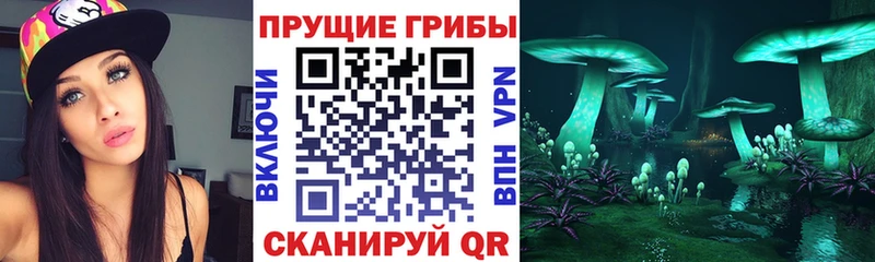 Псилоцибиновые грибы Psilocybe  где найти   Тында 